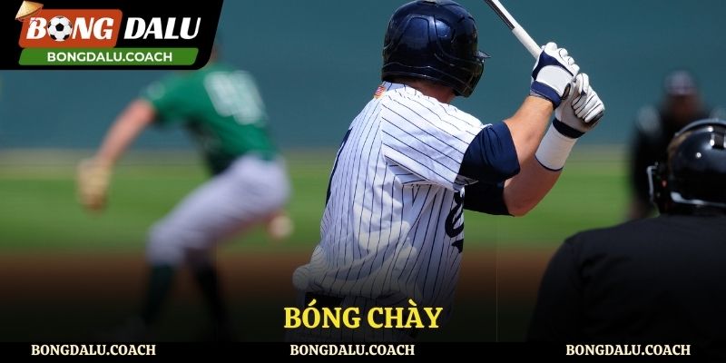 Thưởng thức các trận đấu bóng chày cùng Bongdalu