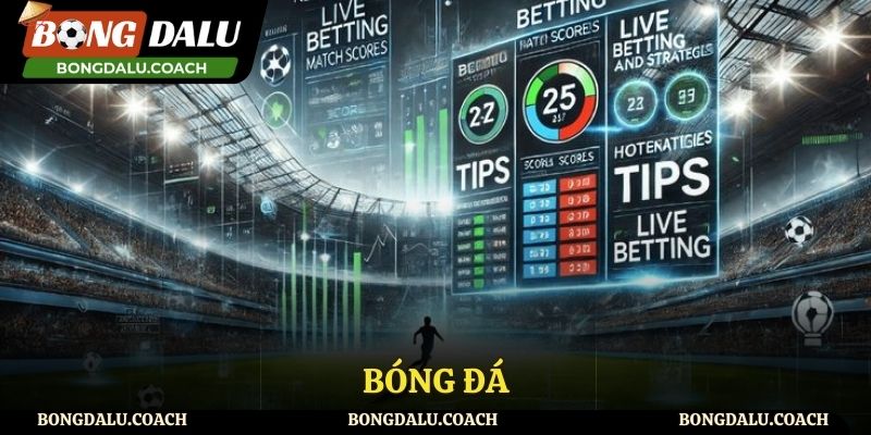 Bóng đá là linh hồn của trang web