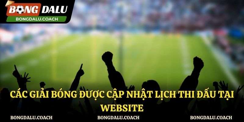 Những giải bóng sẽ được cập nhật lịch bóng đá tại Bongdalu