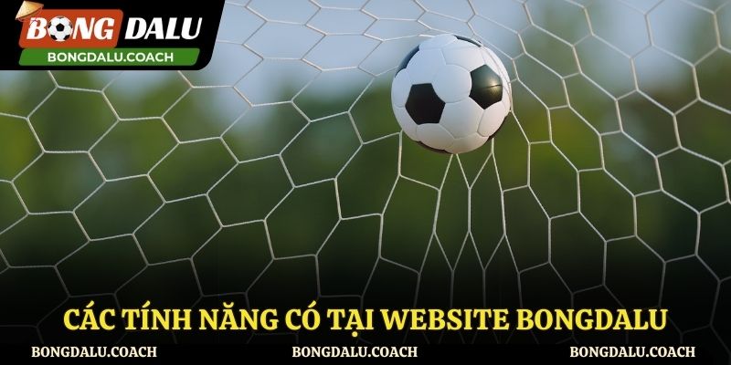 Những tính năng có mặt tại website bóng đá này