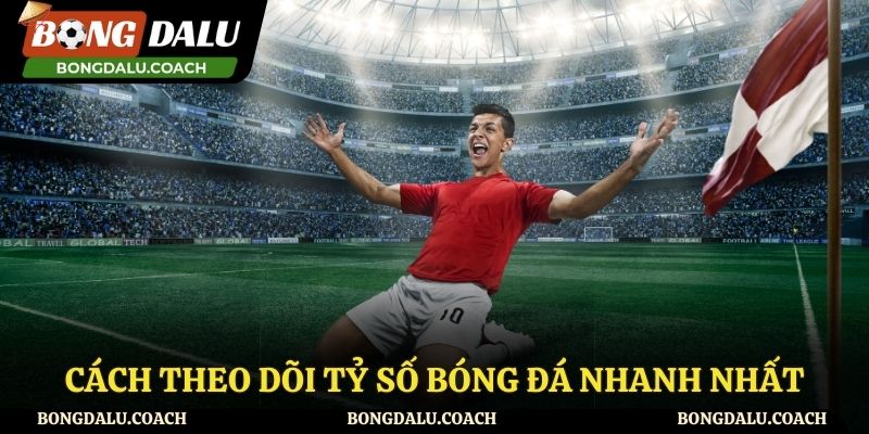 Hướng dẫn cách theo dõi tỷ số bóng đá tại Bongdalu