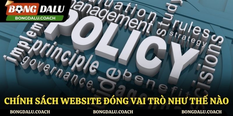 Vai trò của những chính sách website tại Bong da lu