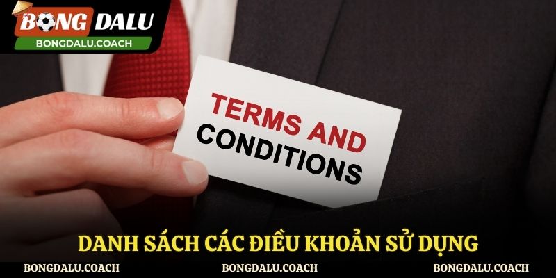Tổng hợp những điều khoản sử dụng người dùng cần nắm tại Bongdalu