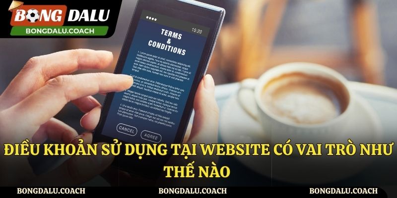 Vai trò của các quy định về điều khoản của Bongdalu