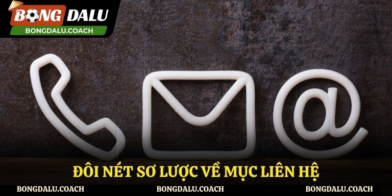 Giới thiệu về mục liên hệ tại Bongdalu