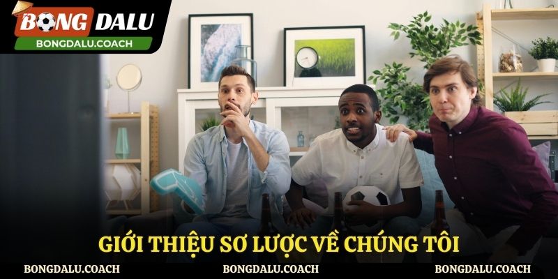 Giới thiệu về chúng tôi Bongdalu những thông tin cơ bản nhất