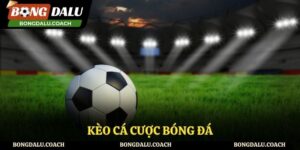 Kèo Cá Cược Bóng Đá - Những Hình Thức Kèo Phổ Biến