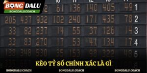 Kèo Tỷ Số Chính Xác Là Gì? Bí Quyết Soi Kèo Hiệu Quả