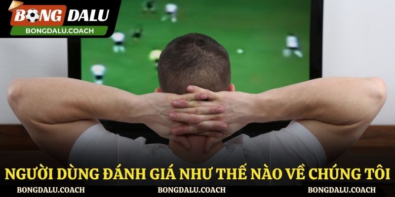 Những đánh giá của người dùng về chúng tôi - Bongdalu