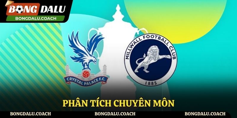 Phân tích về chuyên môn