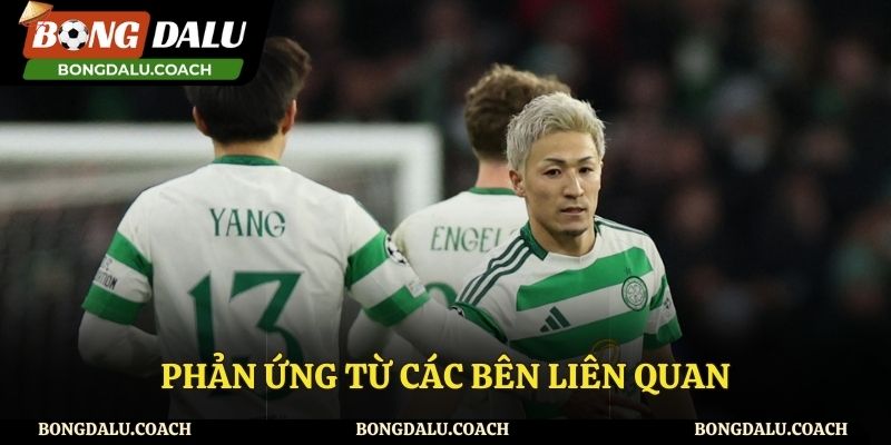 Phản ứng từ các bên liên quan