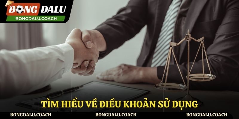 Giới thiệu về những điều khoản sử dụng tại website Bongdalu