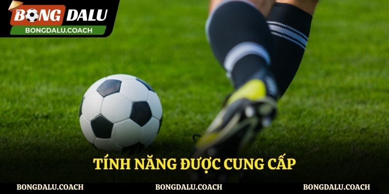 Tính năng của mục bảng xếp hạng cung cấp đến người hâm mộ