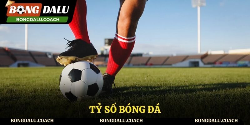 Tỷ số bóng đá Cập Nhật Tỷ Số Bóng Đá – Nhanh Chóng, Chính Xác, Đầy Đủ