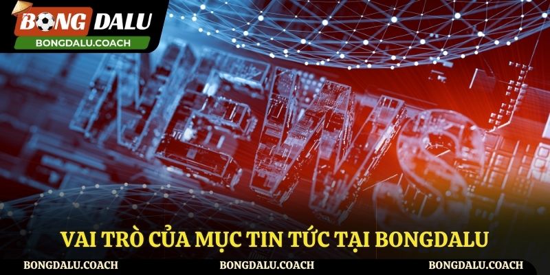 Theo dõi mục tin tức để hiểu rõ hơn