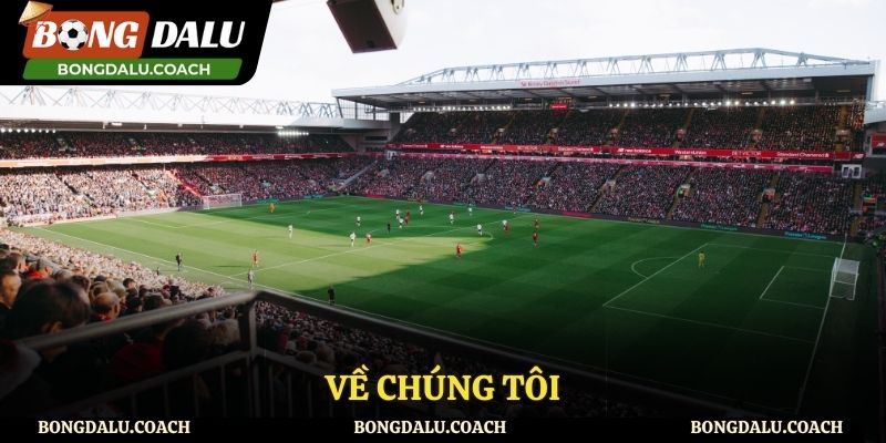 Về chúng tôi Về Chúng Tôi Bongdalu - Trải Nghiệm Trực Tuyến Đỉnh Cao